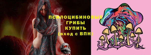 МДПВ Нея