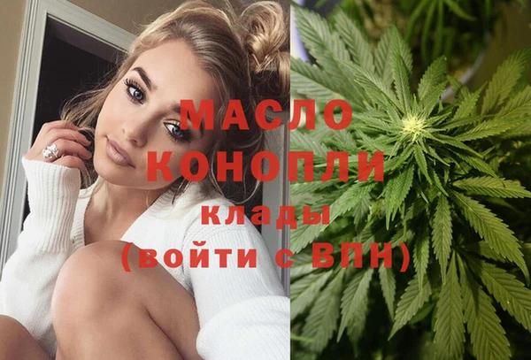 МДПВ Нея