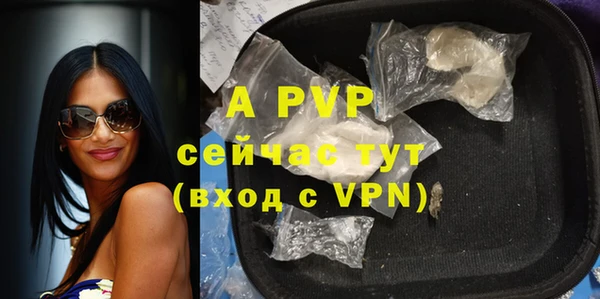 МДПВ Нея