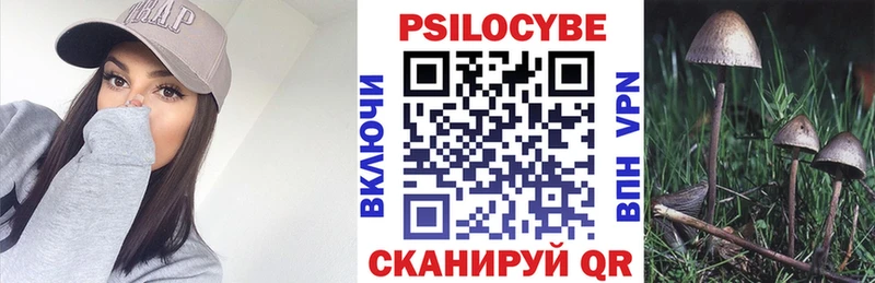 где продают наркотики Ярославль Галлюциногенные грибы GOLDEN TEACHER